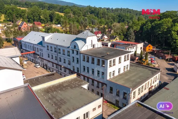Pronájem výrobních prostor, Jílové - Modrá, 200 m2