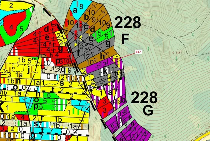 Dražba lesa, Rabí, 4280 m2