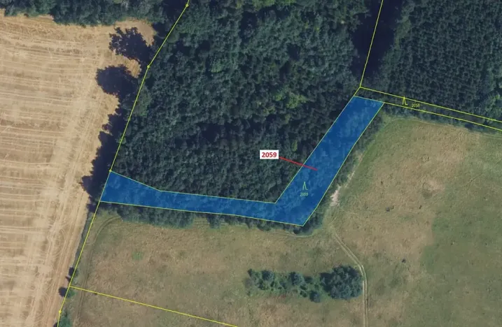 Dražba lesa, Městečko Trnávka, 2241 m2