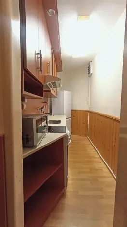 Prodej bytu 3+kk, Opava, Krnovská, 59 m2