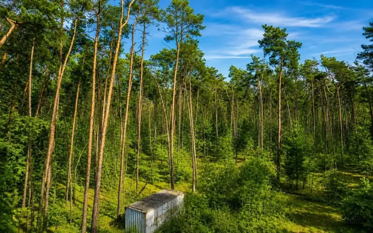 Prodej pozemku pro bydlení, Hradištko, Kersko, 4428 m2