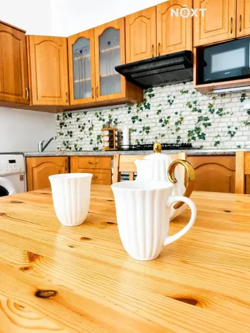 Pronájem bytu 2+kk, Plzeň, Čechova, 48 m2