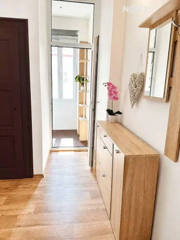 Pronájem bytu 2+kk, Plzeň, Čechova, 48 m2