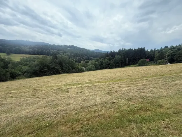 Prodej louky, Hamry, 84928 m2