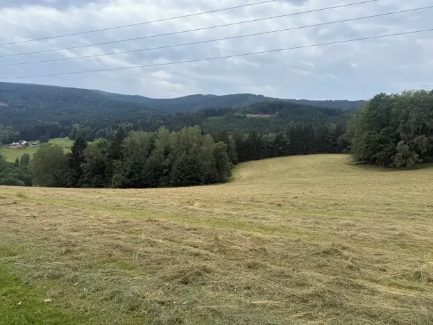 Prodej louky, Hamry, 84928 m2
