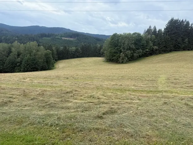 Prodej louky, Hamry, 84928 m2