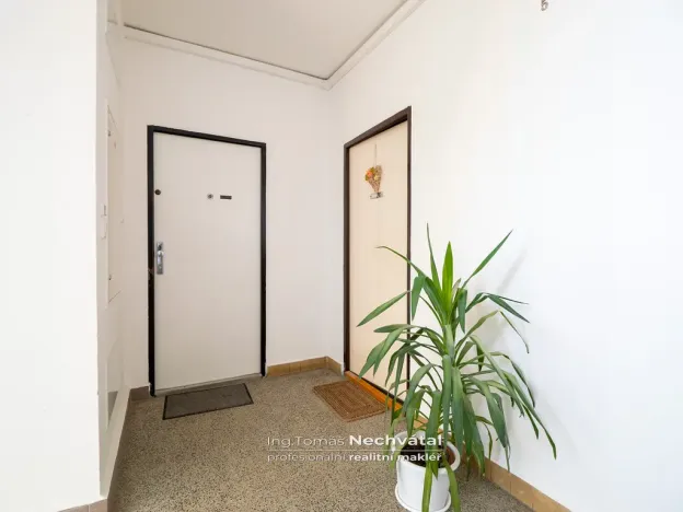 Prodej bytu 2+1, Brno - Lesná, Fillova, 55 m2