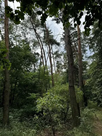 Prodej podílu pozemku, Kojice, 604 m2