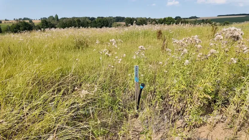 Prodej pozemku pro bydlení, Polná, 706 m2