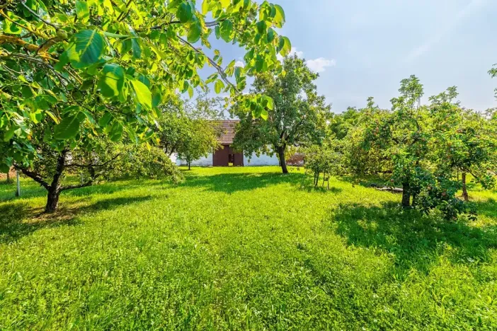 Prodej vícegeneračního domu, Sedlec, 138 m2