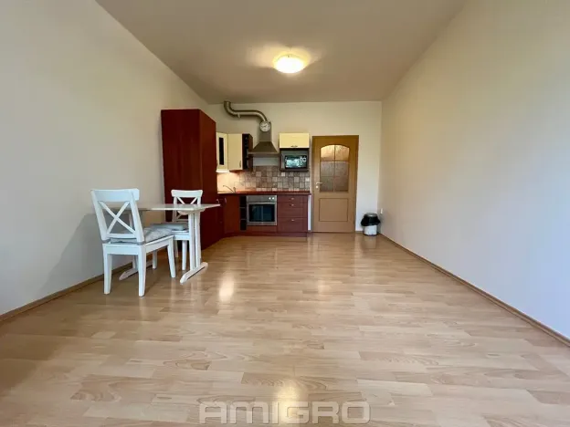 Pronájem bytu 1+kk, Brno, Božetěchova, 32 m2