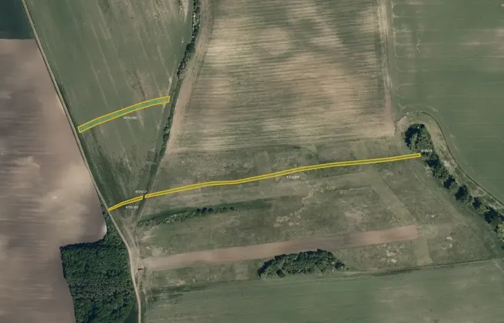 Prodej pole, Bzenec, 9010 m2