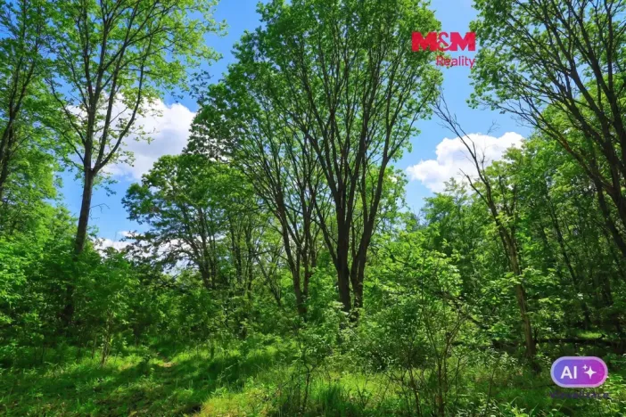 Prodej lesa, Snědovice - Střížovice, 2037 m2