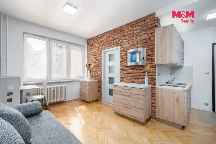 Prodej bytu 1+kk, Ústí nad Labem - Bukov, Školní, 19 m2
