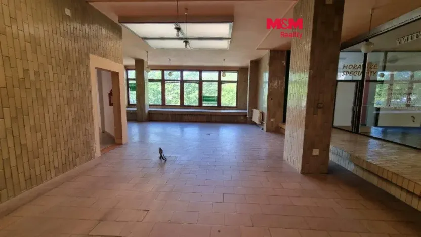 Pronájem obchodního prostoru, Orlová - Lutyně, F. S. Tůmy, 214 m2