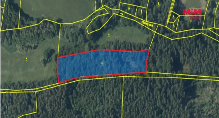 Prodej lesa, Chyňava - Lhotka u Berouna, 7138 m2