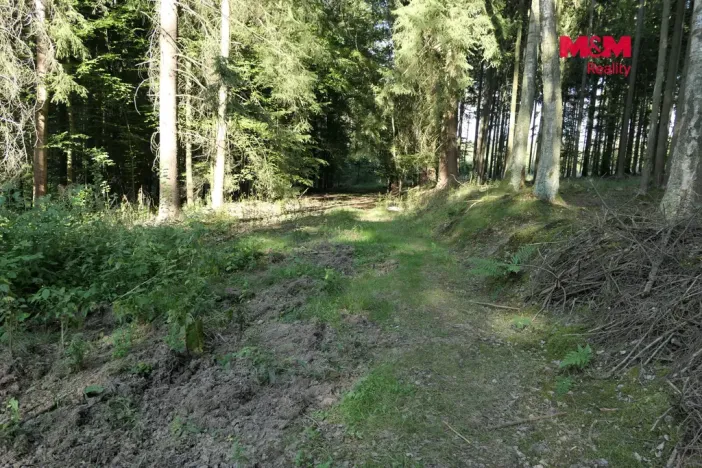 Prodej lesa, Chyňava - Lhotka u Berouna, 7138 m2