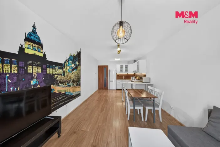 Prodej bytu 3+kk, Praha - Žižkov, Hartigova, 65 m2