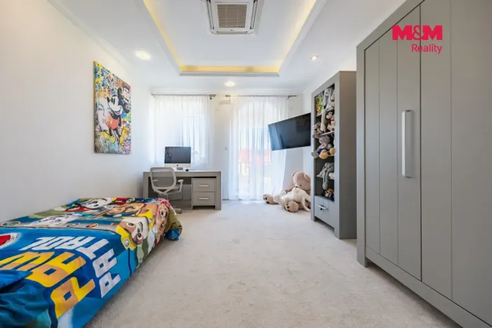 Prodej rodinného domu, Šestajovice, U Váhy, 356 m2