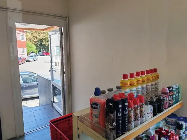 Pronájem obchodního prostoru, Prostějov, Dvořákova, 250 m2