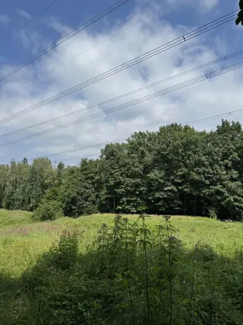 Prodej rybníku, Karviná, 12501 m2