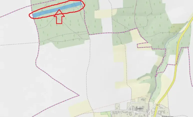 Prodej podílu lesa, Zádolí, 12979 m2