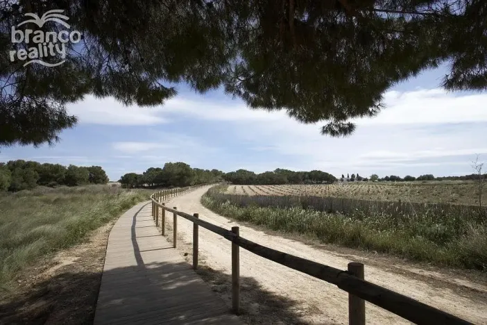 Prodej rodinného domu, Torrevieja, Alicante, Španělsko, 141 m2