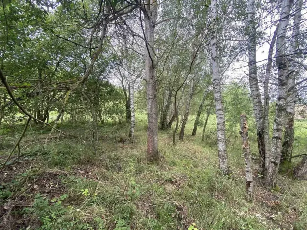 Prodej pozemku, Písečné - Slavětín, 4446 m2
