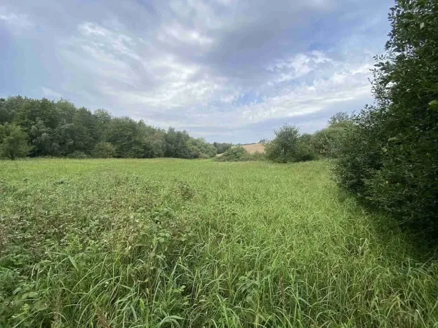 Prodej pozemku, Písečné - Slavětín, 4446 m2
