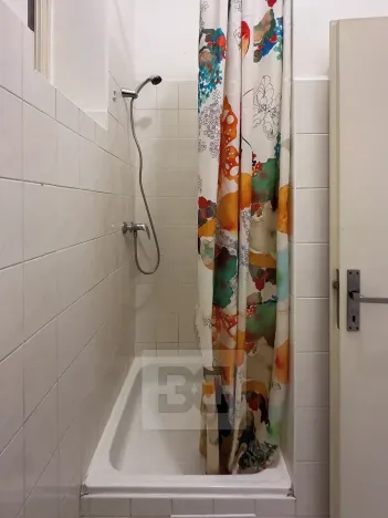 Pronájem bytu 1+kk, Praha - Nusle, Marie Cibulkové, 28 m2