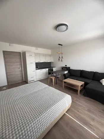 Pronájem bytu 1+kk, Praha - Horní Měcholupy, Hornoměcholupská, 40 m2