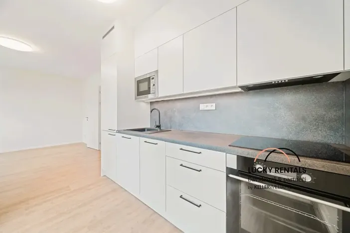 Pronájem bytu 1+kk, Praha - Chodov, Horynova, 32 m2