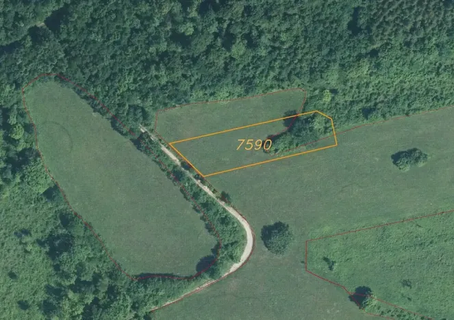 Prodej pole, Javorník, 1556 m2