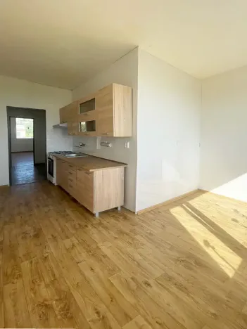 Prodej bytu 2+1, Chomutov, Písečná, 59 m2