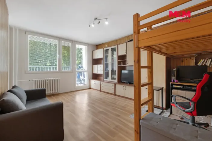 Prodej bytu 1+kk, Kladno - Kročehlavy, Litevská, 27 m2