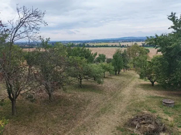 Prodej zahrady, Slatinky, 2889 m2