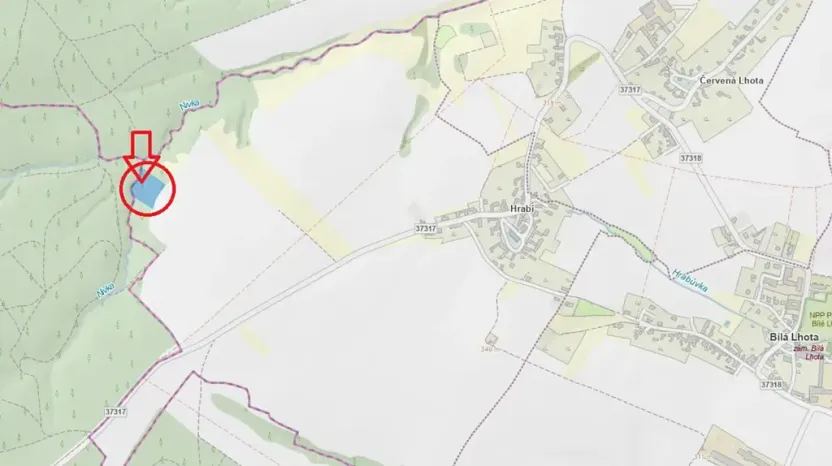 Prodej lesa, Bílá Lhota, 6162 m2