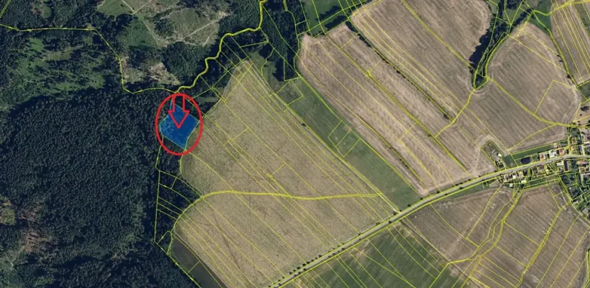 Prodej lesa, Bílá Lhota, 6162 m2