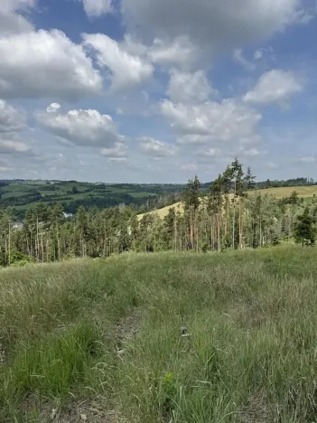 Prodej lesa, Chlum, 5098 m2