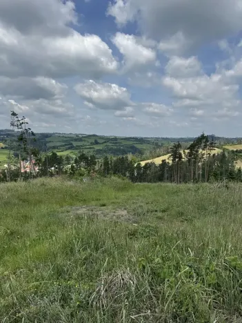 Prodej lesa, Chlum, 5098 m2