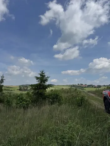 Prodej lesa, Chlum, 5098 m2
