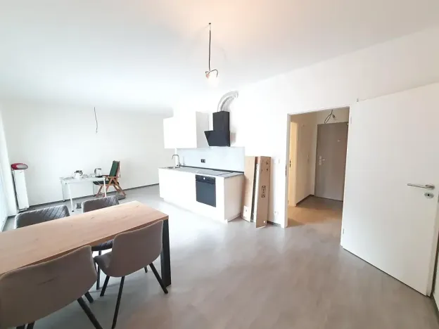 Pronájem bytu 1+kk, Praha - Vysočany, Pod Harfou, 45 m2