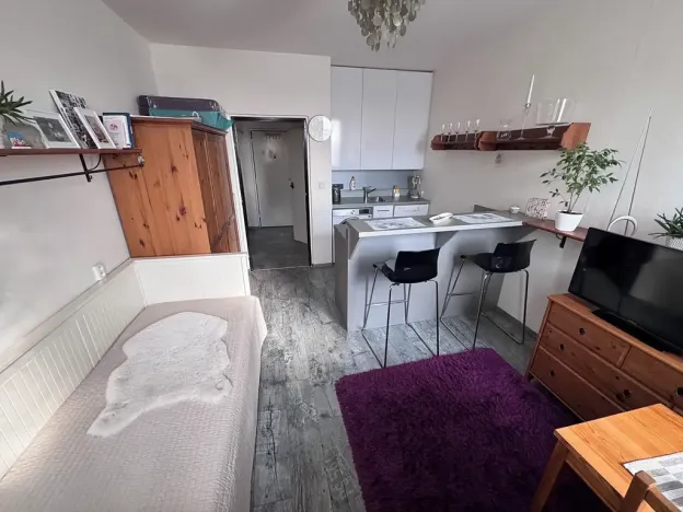 Prodej bytu 1+kk, Brno, Halasovo náměstí, 23 m2
