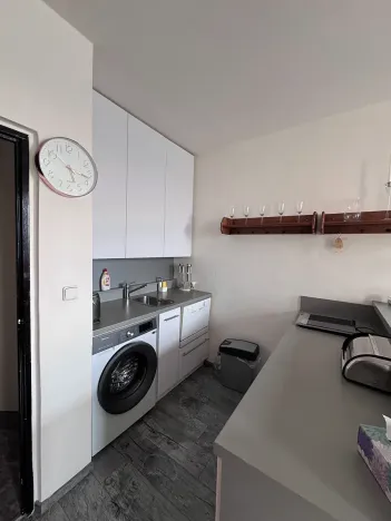 Prodej bytu 1+kk, Brno, Halasovo náměstí, 23 m2