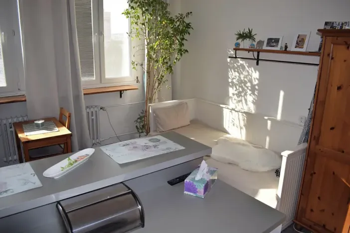 Prodej bytu 1+kk, Brno, Halasovo náměstí, 23 m2