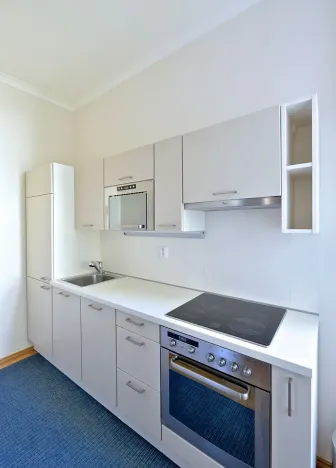 Pronájem bytu 3+1, Praha - Vyšehrad, Vratislavova, 75 m2