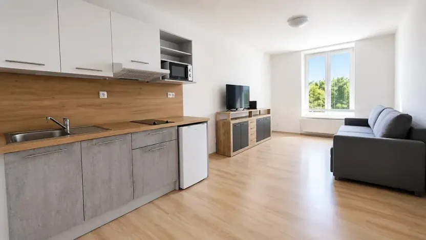 Pronájem bytu 1+kk, Syrovice, 28 m2