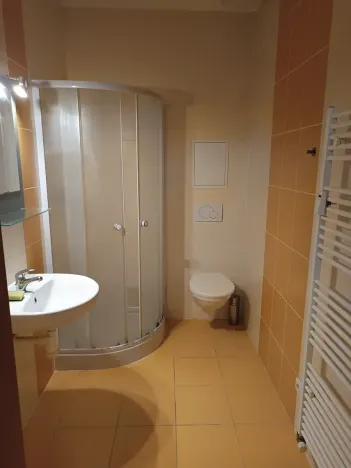Pronájem bytu 1+kk, Brno, Francouzská, 25 m2