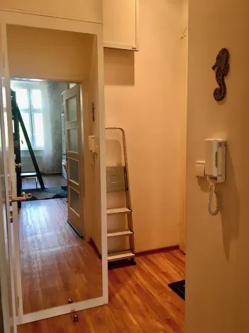 Pronájem bytu 1+kk, Praha - Vinohrady, Polská, 29 m2