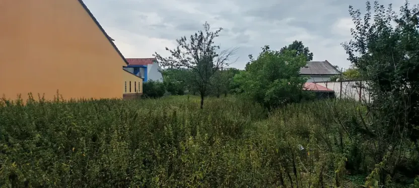 Pronájem skladu, Šumice, 141 m2